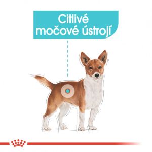 Royal Canin Urinary Care Dog Loaf kapsička s paštikou pro psy s ledvinovými problémy 85 g
