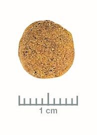 Royal Canin Veterinary Diet Cat Mobility 2 Kg