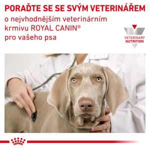 Royal Canin Veterinary Health Nutrition Dog Urinary S/O 13 Kg