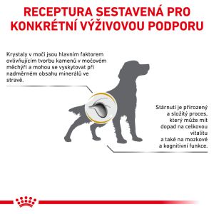 Royal Canin Veterinary Health Nutrition Dog Urinary S/O Age 8 Kg