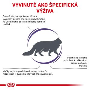Royal Canin VHN Cat Adult 2 Kg