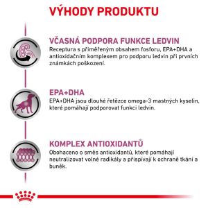 Royal Canin VHN Dog Early Renal 14 Kg