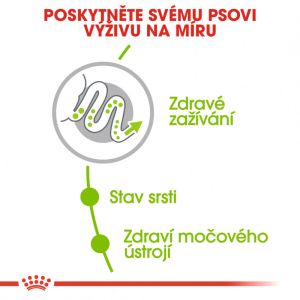Royal Canin X-Small Adult granule pro dospělé trpasličí psy 500 g