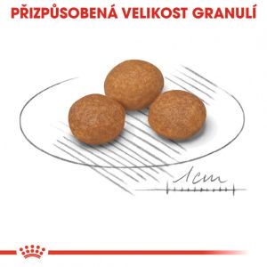 Royal Canin X-Small Adult 8+ granule pro stárnoucí trpasličí psy 1.5 Kg