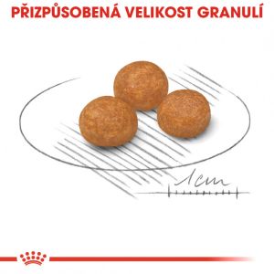Royal Canin X-Small Adult granule pro dospělé trpasličí psy 500 g