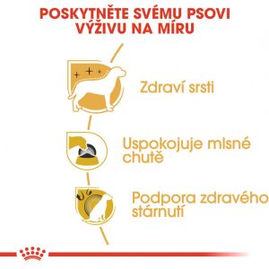Royal Canin Yorkshire Adult granule pro dospělého jorkšíra 1.5 Kg