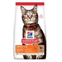 Hill's Fel. Dry SP Adult Lamb&Rice 10kg