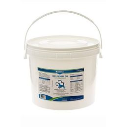 Canina mléko pro štěňata 4000g