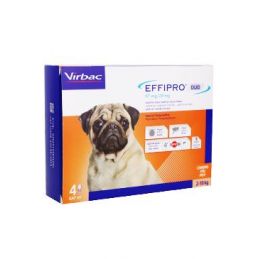 Effipro DUO Dog S (2-10kg) 67/20 mg, 4x0,67ml