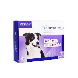Effipro DUO Dog M (10-20kg) 134/40 mg, 4x1,34ml