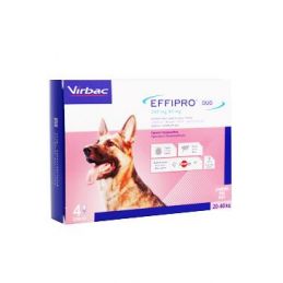 Effipro DUO Dog L (20-40kg) 268/80 mg, 4x2,68ml