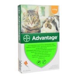 Advantage pro malé kočky a králíky 40mg 4x0,4ml