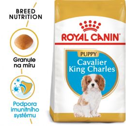 Royal Canin Cavalier King Charles Puppy granule pro štěně kavalír king charles španěl 1.5 Kg