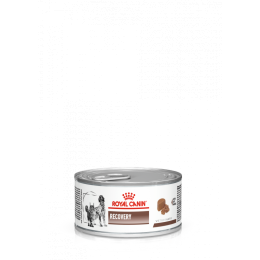 Royal Canin Veterinary Diet Recovery Feline/Canine Can 195 g