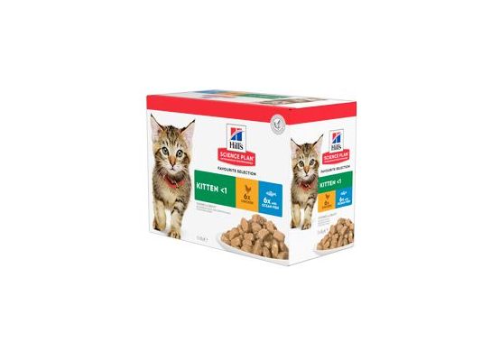 Hill's Fel. kapsa Kitten Chicken&Ocean fish (12x85g)