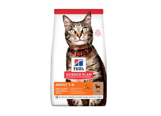 Hill's Fel. Dry SP Adult Lamb&Rice 10kg