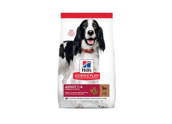 Hill's Can.Dry SP Adult Medium Lamb&Rice 14kg