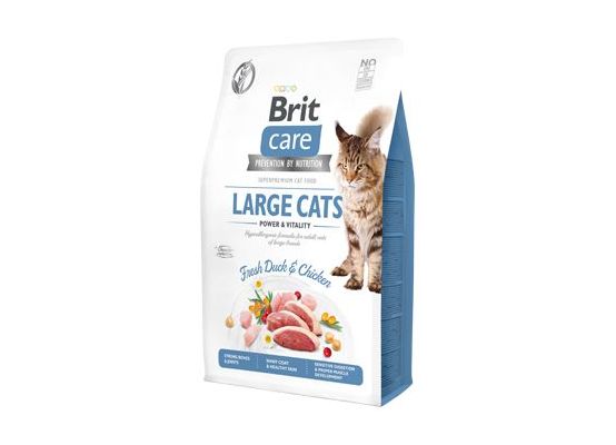 Brit Care Cat GF Large cats Power&Vitality 2kg
