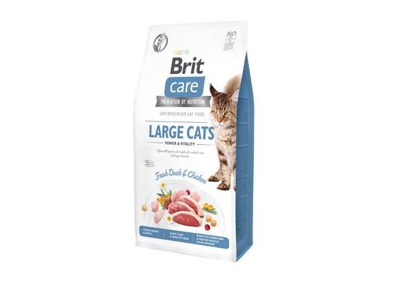 Brit Care Cat GF Large cats Power&Vitality 7kg