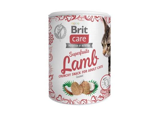 Brit Care Cat Snack Superfruits Lamb 100g