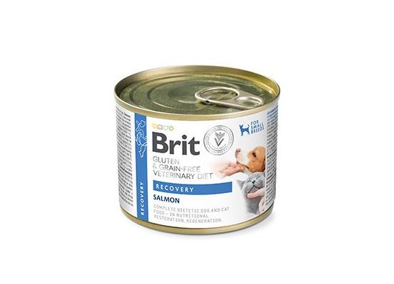 Brit VD Dog & Cat GF Recovery 200 g