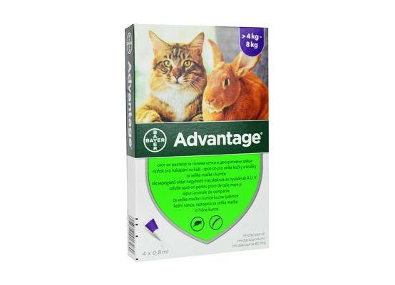 Advantage pro velké kočky a králíky 80mg 4x0,8ml