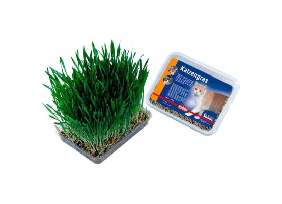 Tráva pro kočky Nobby 100 g