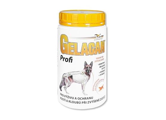 Gelacan Plus Profi 500 g
