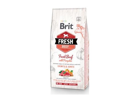 Brit Fresh Dog Beef & Pumpkin Puppy Large 2,5kg