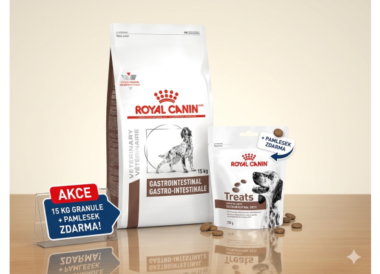 Royal Canin VHN Dog Gastrointestinal 15 kg + Gastrointestinal Treats 230 g