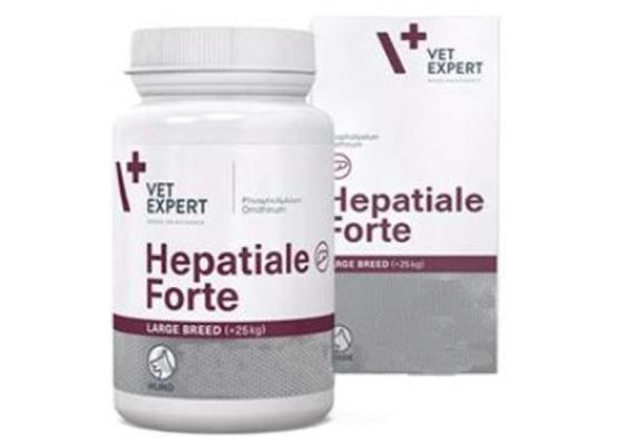Hepatiale Forte Large Breed 40 tbl
