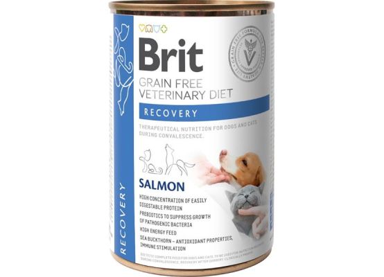 Brit Veterinary Diet Dog & Cat Grain Free Recovery Salmon 400 g