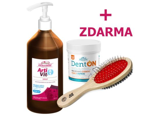 Artivit sir. 1000ml+DentOn 100g+kartáč pro psy zdarma