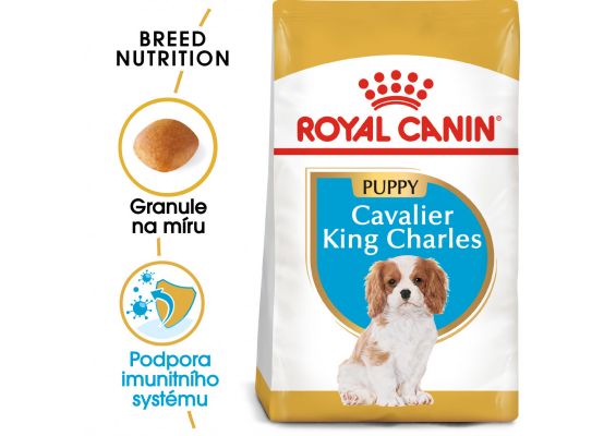 Royal Canin Cavalier King Charles Puppy granule pro štěně kavalír king charles španěl 1.5 Kg