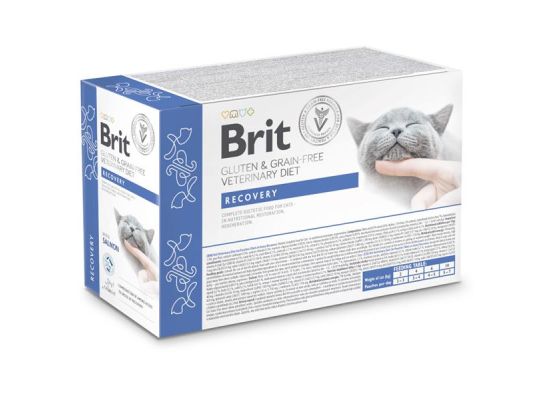 Brit Grain & Gluten-Free VD Cat Pouch fillets in Gravy Recovery 12x 85 g