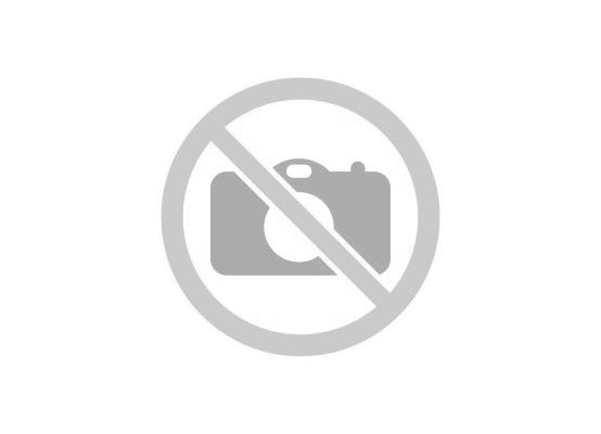 Brit Veterinary Care Dog Can Gluten&Grain free Sterilised 400 g - EXP 04/25