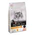 ProPlan Cat Elegant Plus Salmon 3kg