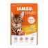 Iams Cat Kuře a krůta v omáčce kapsa 85g