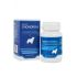 Roboran Chondro 6 pro psy 60tbl