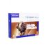 Effipro DUO Dog XL (40-60kg) 402/120 mg, 4x4,02ml