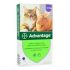 Advantage pro velké kočky a králíky 80mg 1x0,8ml