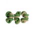 Magnum jerky uzlík green /white 25ks