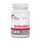 VetExpert ArthroVet HA 90 tbl