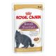 Royal Canin British Shorthair Gravy - kapsička pro britské krátkosrsté kočky ve šťávě 12 x 85 g