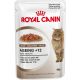 Royal Canin - Feline kaps. Ageing + 12 v želé 85 g