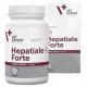 Hepatiale Forte Large Breed 40 tbl