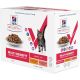 Hill's VetEssentials Feline Adult chicken/salmon kaps. 12 x 85 g NOVÝ