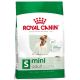 Royal Canin Mini Adult 8 kg