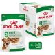 Royal Canin Mini Ageing 12+, kapsička 12 x 85 g