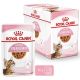Royal Canin VD Cat kaps. Kitten Sterilized 12 x 85 g
